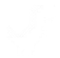Dinosaur